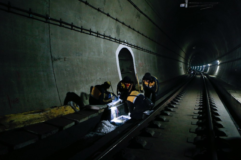 徐汇铁路运营隧道病害现状